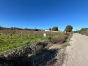 Casa de campo en Jerez de la Frontera