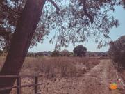 Casa de campo en Masdenverge