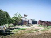 Casa de campo en Peñarroya Pueblonuevo