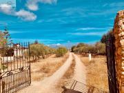 CASA DE CAMPO EN S´ARANJASSA LLUCMAJOR. MALLORCA