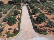 Casa de campo en Sencelles