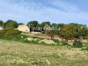 Casa de campo en Venta en Alaior, Islas Baleares