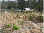 Casa de campo en Venta en Granadilla de Abona, Santa...