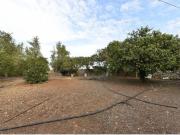 Casa de campo en Venta en Manacor, Islas Baleares