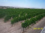 Casa de campo en Venta en Novelda, Alicante