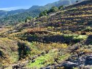 Casa de campo en Venta en Oliva de la Frontera, Santa...