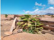 Casa de campo en Venta en Puerto del Rosario, Las Palmas