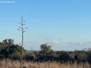 Casa de campo en Venta en Santanyí, Islas Baleares