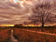 Casa de campo en Venta en Sils, Girona