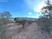 Casa de campo en Venta en Yecla, Murcia