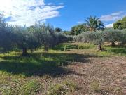 CASA DE CAMPO PARA REFORMAR ZONA SQUAS CAMINO DE CATRAL