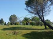 Casa de Campo, Piscina, 3 Casitas, 10 Establos