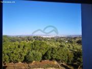 Casa de Campo, Piscina, Jardín, Olivos, Vistas