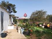 Terreno com Casa de Campo T1 Luz Lagos