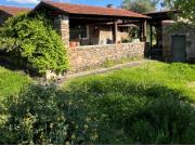 Casa de campo T3+1 Tomar/Barragem de Castelo do Bode