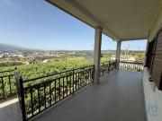 Casa de Campo T4 em Folhadela de 459,00 m²
