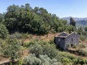 Casa de Campo T6 em Gouveia