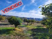 Casa de Campo Venta Almería