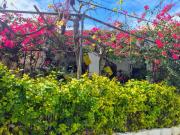 Casa de Campo Venta Almería