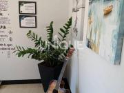 Casa de Condomínio com 3 quartos, Jacaré Cabreúva