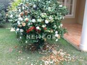 Casa de condomínio em Alameda das Sibipirunas Ville...