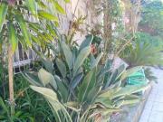 Casa de condomínio em Rua Joaquim Cruz Santo Antônio...