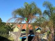 Casa de Condomínio para venda em Marambaia de 250.00m²...