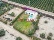 Casa De Ensueño Dentro De Condominio Rodeado De...