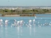 Casa de ensueño en segunda línea de mar en San Pedro del...