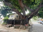 Casa de esquina en venta en El Rodadero Excelente ubicación! Casa de esquina en venta en El Rodadero Excelente ubicación!