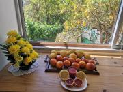 Casa de fazenda em aldeias tranquilas 30 árvores...