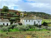 Casa de luxo de 400 m² à venda Vila Nova de Foz Côa, Guarda