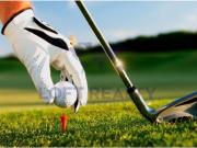 Casa de luxo de 462 m² à venda Ponte de Lima, Viana do... Casa de luxo de 462 m² à venda Ponte de Lima, Viana do...