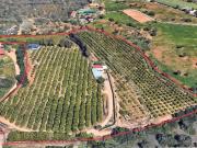 Prestigiosa casa de 75 m² à venda Pera, Silves, Faro