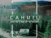 Casa De Madera Con Finas Terminaciones En Bosque De Cahuil