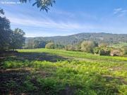 CASA DE PIEDRA PARA REHABILITAR CON AMPLIO TERRENO, NEGREIRA