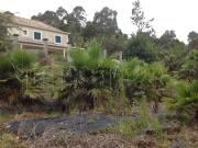 Casa de 407 m² à venda Achada Grande, Santana, Madeira