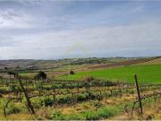 Casa de prestígio de 238 m² à venda Torres Vedras, Lisboa