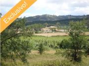 Casa de prestígio de 314 m² à venda Torres Vedras, Portugal