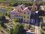 Casa de prestígio de 35217 m² à venda Constance, Portugal