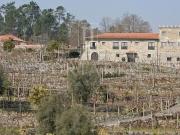 Prestigiosa casa de 520 m² à venda Vila Verde, Portugal