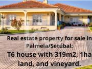 Casa de prestígio de 556 m² à venda Palmela, Setúbal