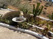 Casa de Pueblo en Venta en Almogía, Málaga