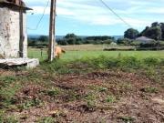 Casa de pueblo en Venta en Corgo, O Lugo