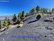 Casa de pueblo en Venta en Paso, El Santa Cruz de Tenerife