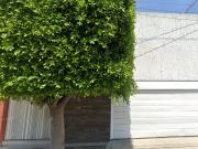 CASA DE RECUPERACION HIPOTECARIA EN JARDINES DE SAN...