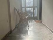 Casa de rua: / Residencial / Centro