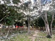 Casa de un piso, 2 recámaras* en VENTA en Palmas I,...