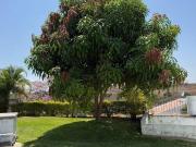 Casa de Un Solo Piso en Santa Fe, Morelos – Gran...