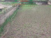 Casa de Venta con Terreno de 1200m2 en Olmedo